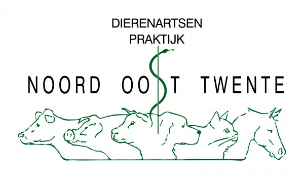 Logo DAP Noord Oost Twente - Ootmarsum