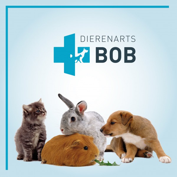 Logo Dierenarts Bob